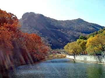 新澳天天开奖资料大全旅游团，宫心计 失宠皇后